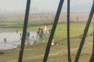 আজমিরীগঞ্জে স*রকারি ভূমিতে ক্ষেত, নি*ষেধাজ্ঞা জা*রি