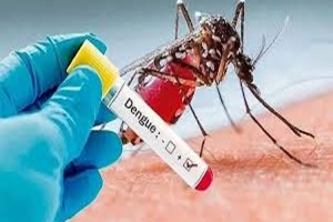 ডেঙ্গু আক্রান্ত হয়ে আরও ৪৯২ জন হাসপাতালে ভর্তি, মৃ ত্যু ৩