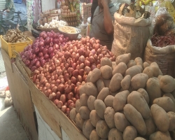 দাম বাড়ায় কমেছে পেঁয়াজ বিক্রি