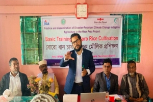 শান্তিগঞ্জে বোরো ধান চাষ বিষয়ক মৌলিক প্রশিক্ষণ