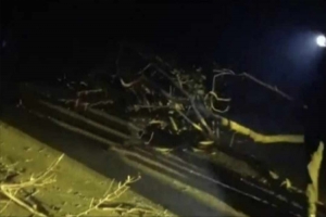 সুনামগঞ্জ-জগন্নাথপুর মহাসড়কে গাছ ফেলে দু র্ধ র্ষ ডা কা তি