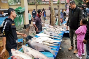 নদীর পাড়ে পৌষ সংক্রান্তিতে মাছের মেলা