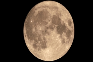 চাঁদে সংরক্ষণ করা হবে মানুষের ভাষা