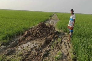 নিজ অর্থায়নে গ্রামীণ অবকাঠামো উন্নয়নে শিশির মনির