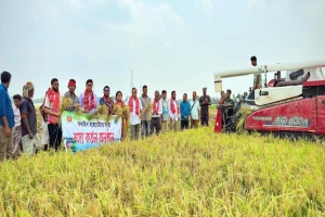 মাধবপুরে কম্বাইন্ড হার্ভেস্টার দ্বারা ধান কাটার উদ্যোগ