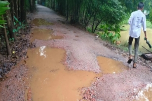 গোয়াইনঘাটে সড়কের কাজে দুইমাসেই বিভিন্ন জায়গায় গ*র্তের সৃষ্টি ক্ষো*ভে ফুঁসছে এলাকাবাসী