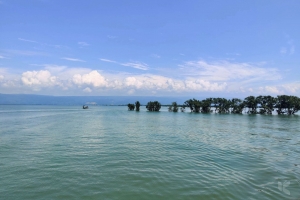 টাঙ্গুয়ার হাওরের পানিতে উচ্চমাত্রার ভারী ধাতু