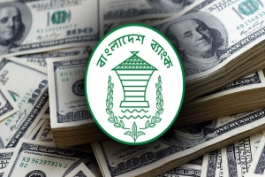 রিজার্ভ ছাড়িয়েছে ২৬ বিলিয়ন ডলার