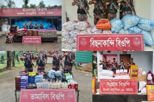 সিলেট সী'মান্তে ৪৬ লাখ টাকার চো'রাই পণ্য জ'ব্দ