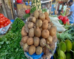 আলুর দাম আকাশচুম্বি!