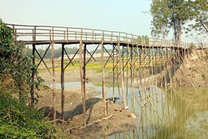 জীর্ণ কাঠের সাঁকোই ১৫ গ্রামের মানুষের ভরসা!