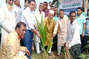 গোয়াইনঘাটে নন্দিরগাঁওয়ে সাড়ে ৪ হাজার গাছের চারা বিতরণ গোয়াইনঘাটে নন্দিরগাঁওয়ে সাড়ে ৪ হাজার গাছের চারা বিতরণ