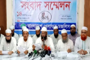 জুলাই সনদ বাস্তবায়নসহ পাঁচ দফা দাবিতে কর্মসূচি ঘোষণা করলেন মামুনুল হক