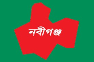 নবীগঞ্জের কুর্শিতে সাংবাদিক পরিবারের ওপর হাম*লার অভি*যোগ