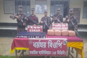 মাধবপুরে ২০ কেজি গাঁজা ও ২৭০ বোতল ইস্কফ উদ্ধার