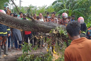 বড়লেখায় কালবৈশাখী ঝ*ড়ে ব্যাপক ক্ষ*য়ক্ষতি, বিদ্যুৎ সরবরাহে বি*ঘ্নিত