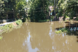 জগন্নাথপুরে কুশিয়ারা ও নলজুর নদের পানি কমছে, ফিরছে স্ব স্তি