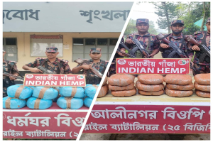 সরাইল ব্যাটালিয়নের অভিযানে ৩৮ কেজি গাঁ*জা উদ্ধার, আ*সামি পলা*তক