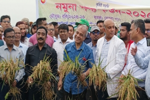 এ বছর দেশে খাদ্য সং ক টে র কোনো সম্ভাবনা নেই : কৃষি উপদেষ্টা