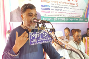 ঐক্যবদ্ধ প্রচেষ্টাই আমাদের শিক্ষা ব্যবস্থাকে শক্তিশালী ও আধুনিক করে তুলতে পারে - নাসির উদ্দিন আহমেদ মিঠু