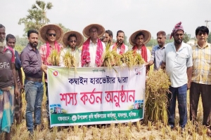 মাধবপুরে কম্বাইন হারভেষ্টার যন্ত্র দিয়ে ধান কাটার উদ্বোধন