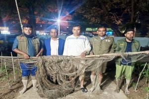 পাখিদের জীবন বাঁচাতে শ্রীমঙ্গলের হাইল হাওরে শিকারের জাল জব্দ
