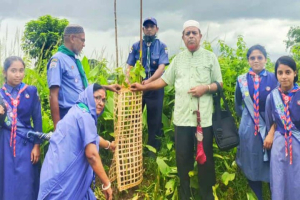 জুলাই গণ অ ভ্যু ত্থা নে শহিদ স্কাউটদের স্মরণে মাধবপুরে বৃক্ষরোপণ কর্মসূচি পালিত
