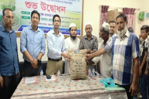 বড়লেখায় ৩১শত ক্ষুদ্র ও প্রান্তিক কৃষকের মাঝে বিনামূল্যে আউশ বীজ ও সার বিতরণ 