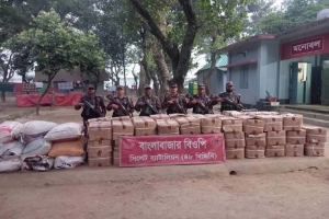 দোয়ারাবাজার সীমান্তে পাচারকালে অর্ধকোটি টাকার চোরাই পণ্য আটক 