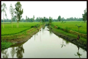 সরকার দেশে ২০ হাজার কিলোমিটার খাল খননের পরিকল্পনা নিয়েছে- তথ্য ও সম্প্রচারমন্ত্রী