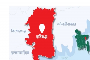 বানিয়াচংয়ে গভীর রাতে দুই দোকানে আ গু ন : ১০ লক্ষাধিক টাকার ক্ষয়ক্ষতি