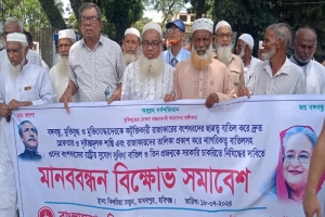 দেশব্যাপী নৈরাজ্যের প্রতিবাদে মাধবপুরে মুক্তিযোদ্ধাদের মা*নববন্ধন 