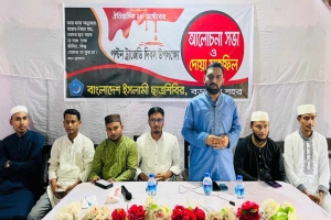 মানবজাতির ইতিহাসকে ক লং কি ত করেছিল আ. লীগ স ন্ত্রা সী রা: মাহফুজ সুমন 