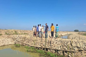 কুলাউড়ায় বোরো চাষের জন্য ব্যক্তিগত উদ্যোগে বাঁধ নির্মাণ