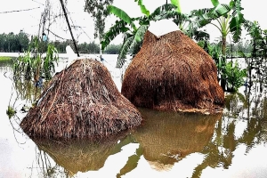 হবিগঞ্জে কৃষি ও মৎস্যখাতে ৭০ কোটি টাকার ক্ষতি হবিগঞ্জে কৃষি ও মৎস্যখাতে ৭০ কোটি টাকার ক্ষতি