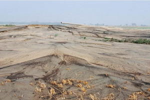 নবীগঞ্জে প্রকাশ্যে চলছে  মাটি ও বালু উত্তোলন