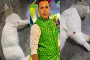 খুলনায় বিড়ালকে হত্যার উদ্দেশ্যে প্রকাশ্যে জনির গুলি
