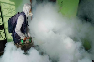 ডেঙ্গুর বিস্তার রোধে বৈশ্বিক পরিকল্পনা ঘোষণা