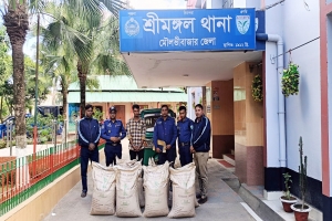 শ্রীমঙ্গলে ভারতীয় চোরাই চিনিসহ গ্রেফতার ১