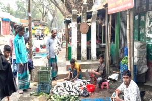 হবিগঞ্জে শহীদ মিনারে মাছের বাজার! উদযাপন করা যায়নি মাতৃভাষা দিবস
