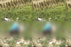সিলেট-ঢাকা মহাসড়কের অদূরে মিলল বৃদ্ধের লা  শ