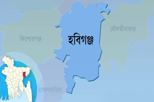 বিদ্যুৎস্পৃষ্ট হয়ে মাধবপুরে একজনের ‍মৃ ত্যু