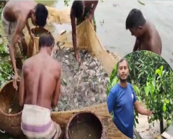 প্রবাস ফেরত বিলাল এখন সফল খামারি, বছরে ইনকাম সাত-আট লাখ টাকা